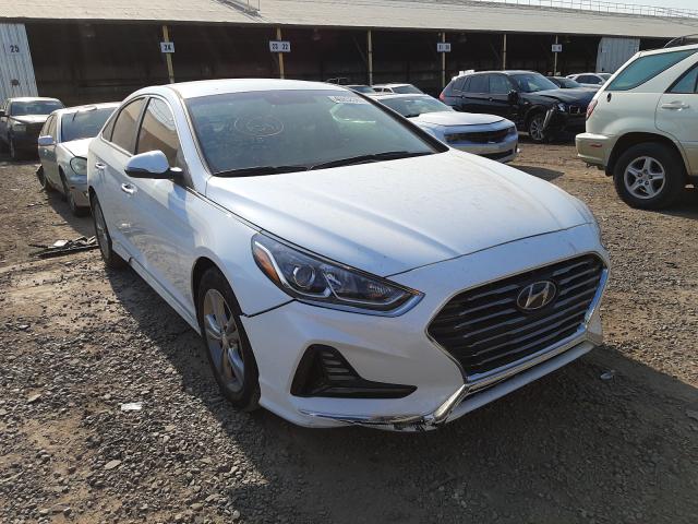 HYUNDAI SONATA SPO 2018 5npe34af8jh669824