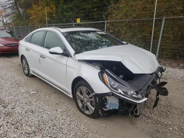 HYUNDAI SONATA SPO 2018 5npe34af8jh684887