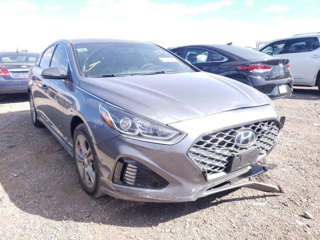 HYUNDAI SONATA SPO 2018 5npe34af8jh690172