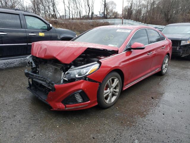 HYUNDAI SONATA SPO 2018 5npe34af8jh691256