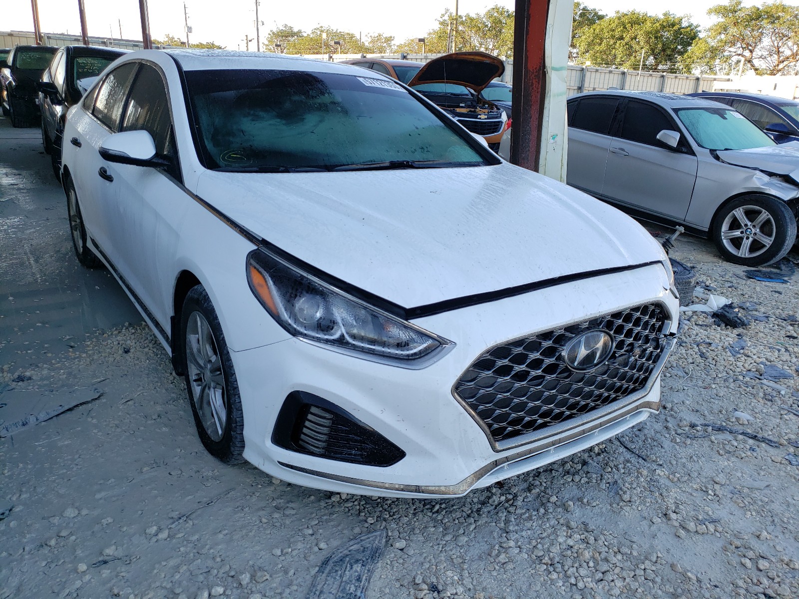 HYUNDAI SONATA LIM 2019 5npe34af8kh741607