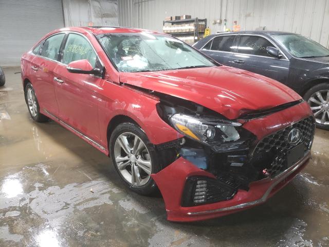 HYUNDAI SONATA LIM 2019 5npe34af8kh754566