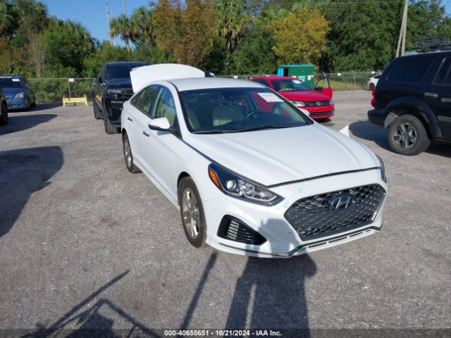 HYUNDAI SONATA 2019 5npe34af8kh768306