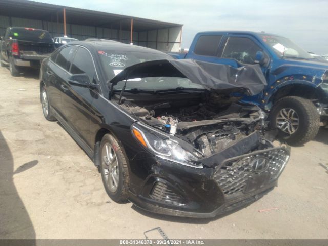 HYUNDAI SONATA 2019 5npe34af8kh775997