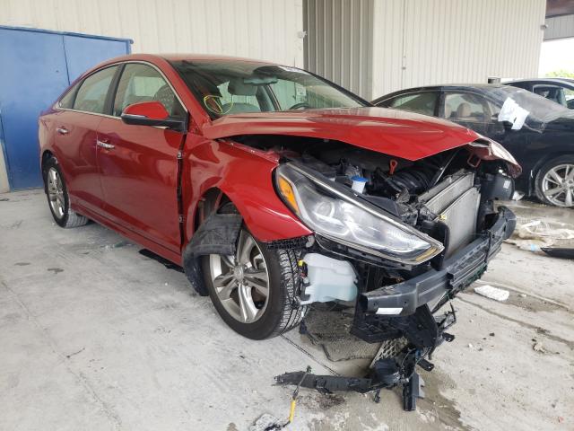 HYUNDAI SONATA LIM 2019 5npe34af8kh776504