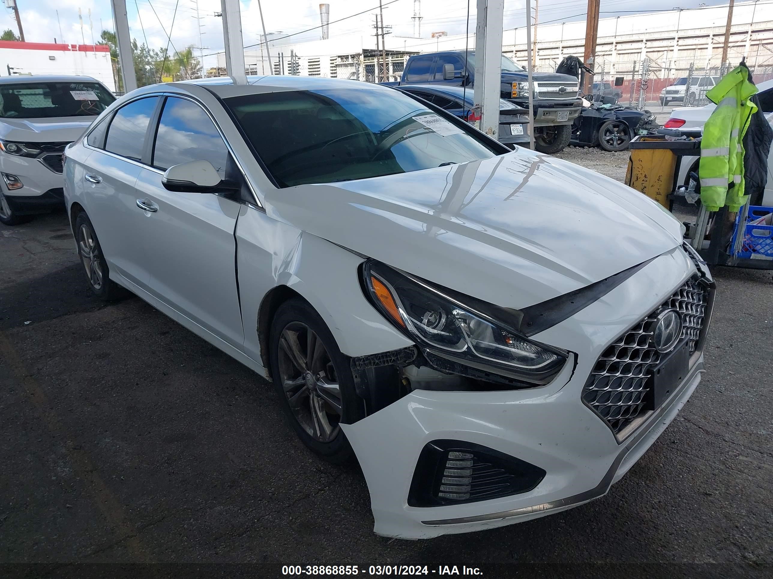 HYUNDAI SONATA 2019 5npe34af8kh778785