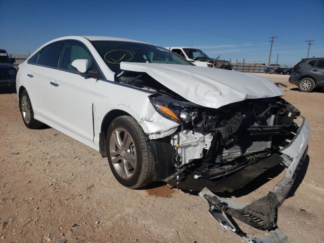 HYUNDAI SONATA LIM 2019 5npe34af8kh807802