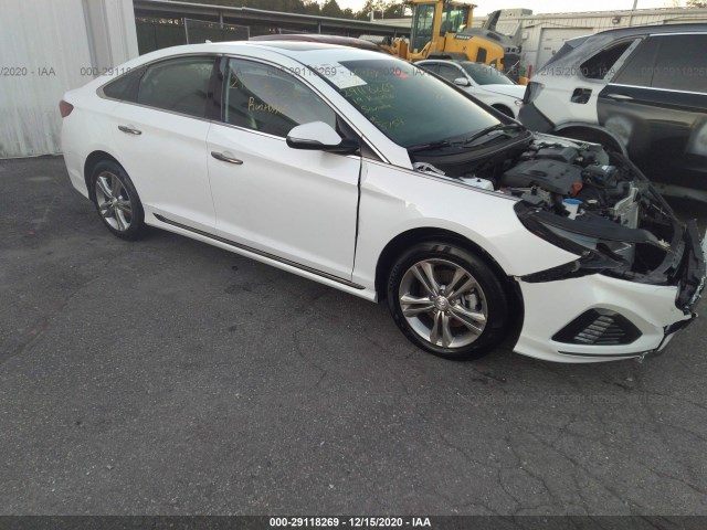 HYUNDAI SONATA 2019 5npe34af8kh810845