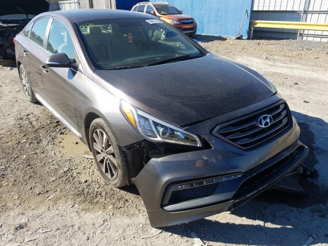 HYUNDAI SONATA SPO 2015 5npe34af9fh022081