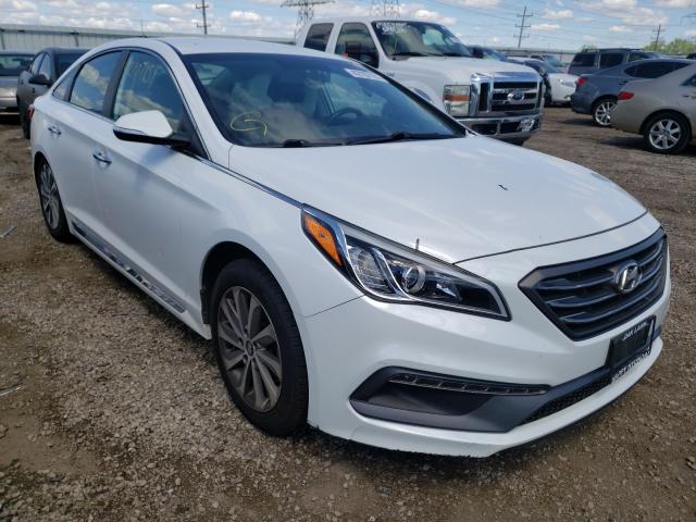 HYUNDAI SONATA SPO 2015 5npe34af9fh068266