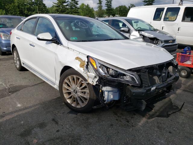 HYUNDAI SONATA SPO 2015 5npe34af9fh096343