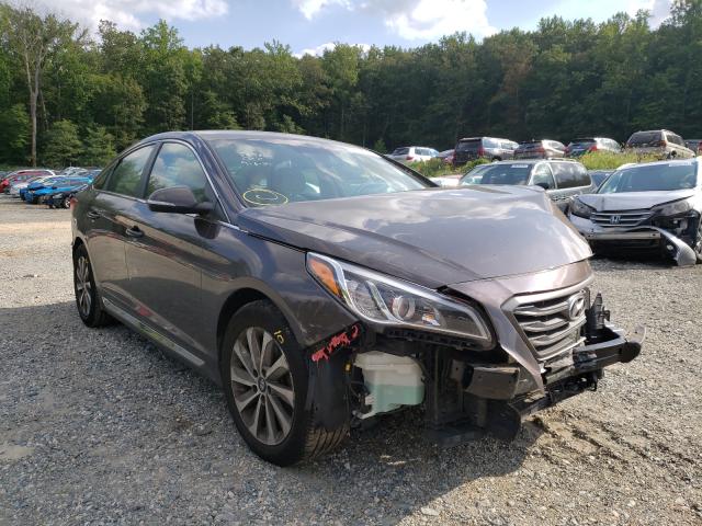 HYUNDAI SONATA SPO 2015 5npe34af9fh108099