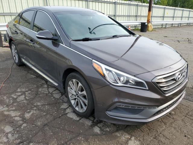 HYUNDAI SONATA SPO 2015 5npe34af9fh120222