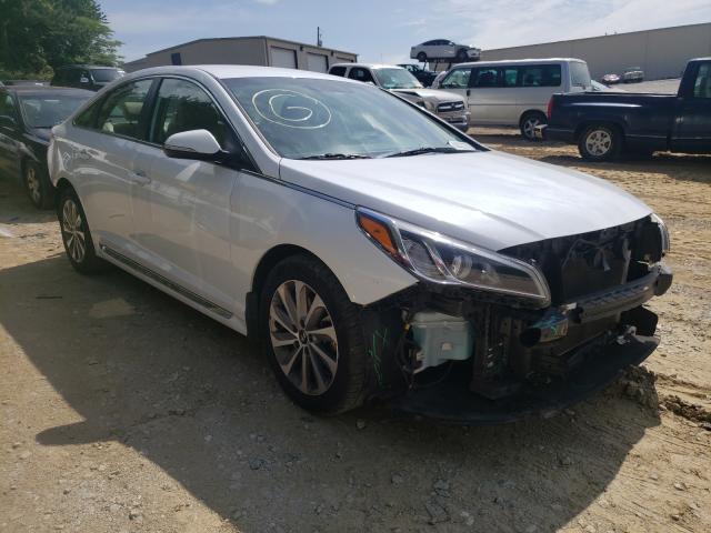 HYUNDAI SONATA SPO 2015 5npe34af9fh162874