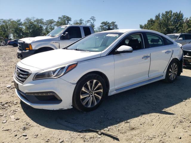 HYUNDAI SONATA SPO 2015 5npe34af9fh213497