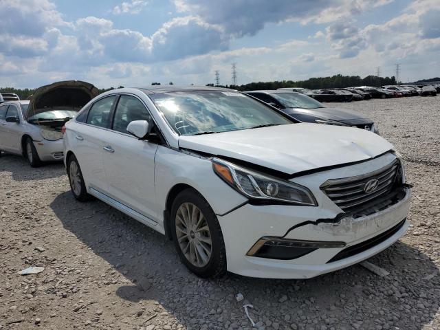 HYUNDAI SONATA SPO 2015 5npe34af9fh239582