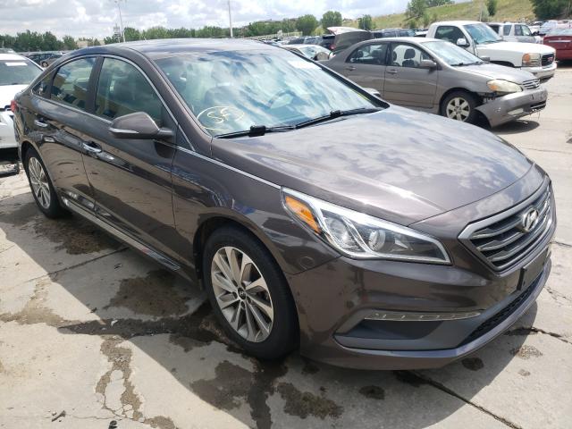 HYUNDAI SONATA SPO 2015 5npe34af9fh243891