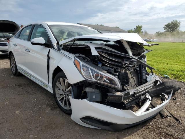 HYUNDAI SONATA SPO 2015 5npe34af9fh252705