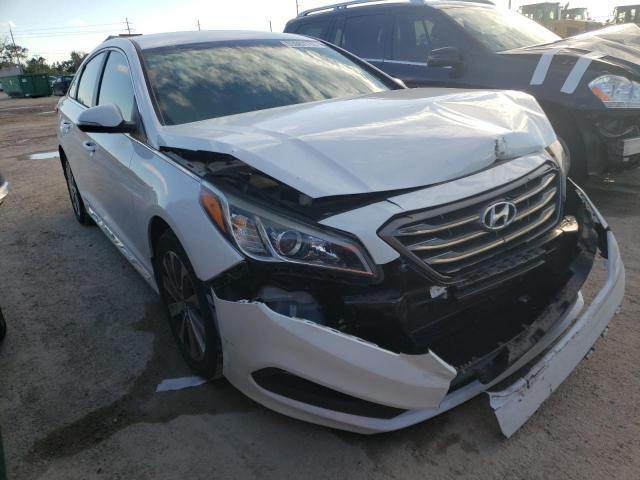 HYUNDAI SONATA SPO 2015 5npe34af9fh256074