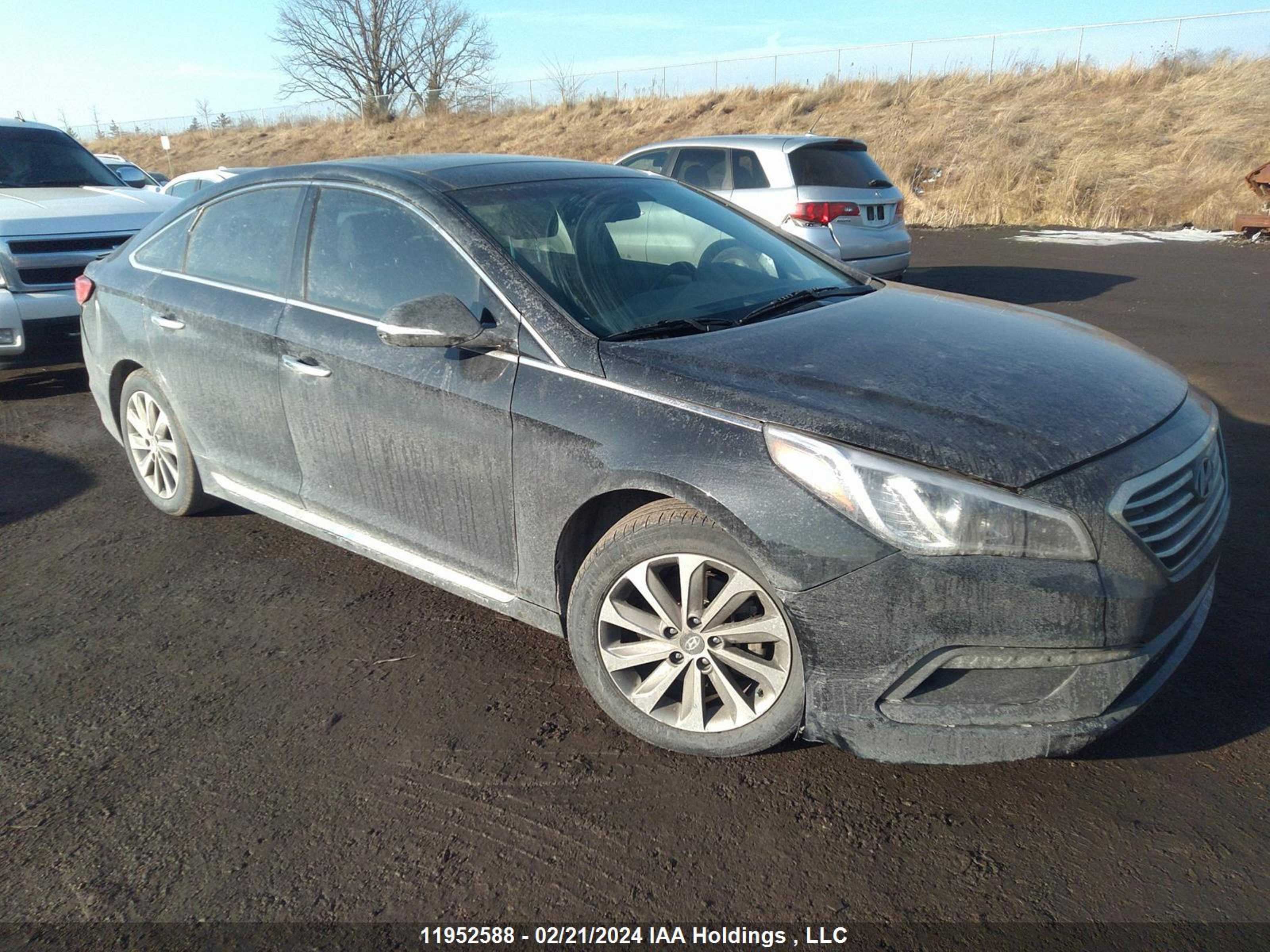 HYUNDAI SONATA 2016 5npe34af9gh269439