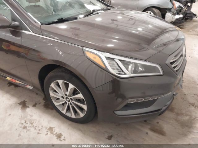 HYUNDAI SONATA 2016 5npe34af9gh293546