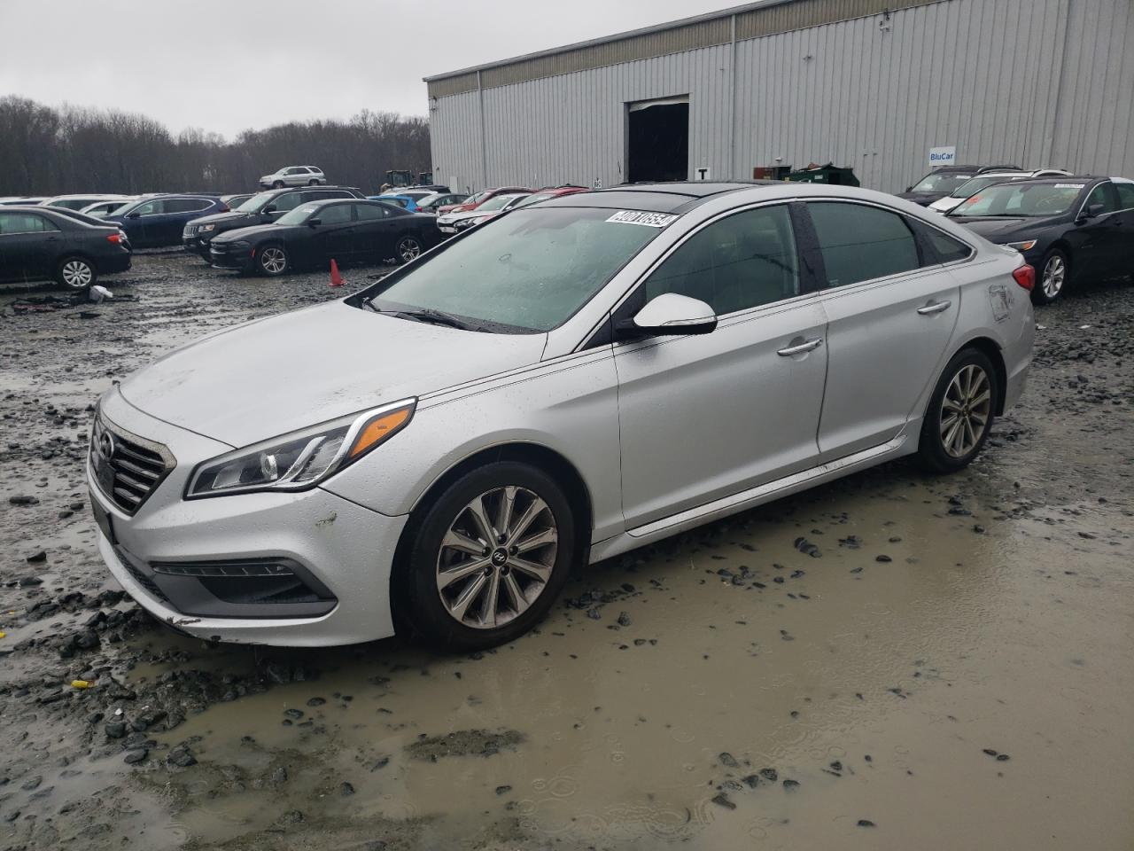 HYUNDAI SONATA 2016 5npe34af9gh301239