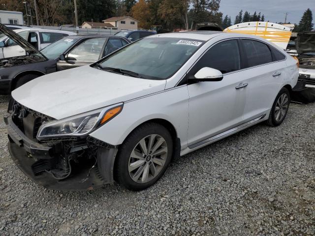 HYUNDAI SONATA SPO 2016 5npe34af9gh305047