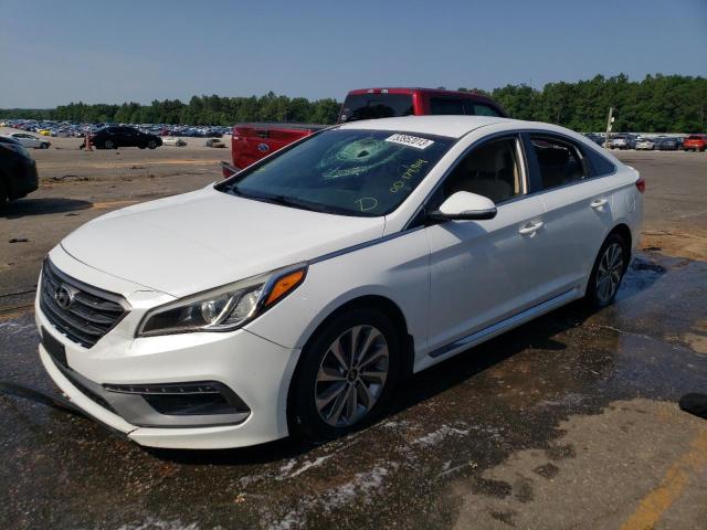 HYUNDAI SONATA SPO 2016 5npe34af9gh320857