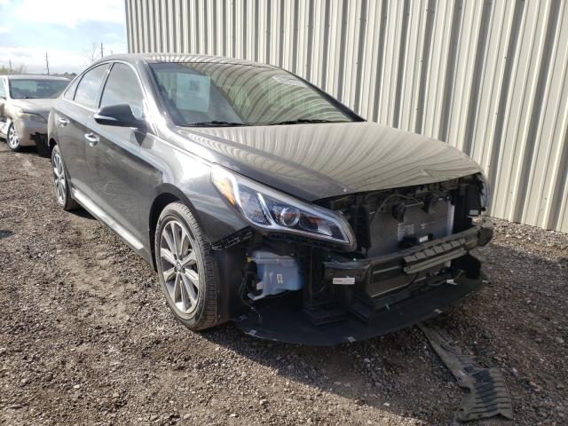 HYUNDAI SONATA SPO 2016 5npe34af9gh342826