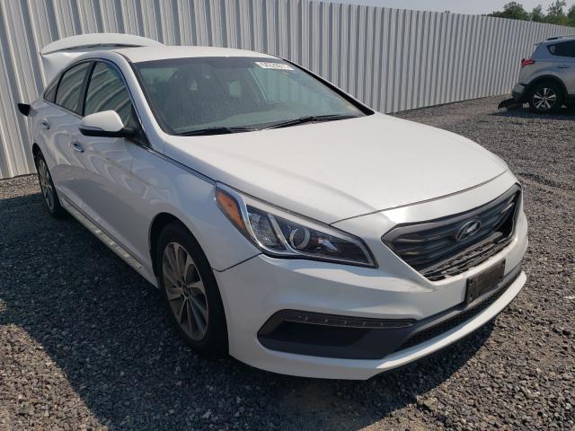 HYUNDAI SONATA SPO 2016 5npe34af9gh343216