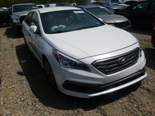 HYUNDAI SONATA SPO 2016 5npe34af9gh352076