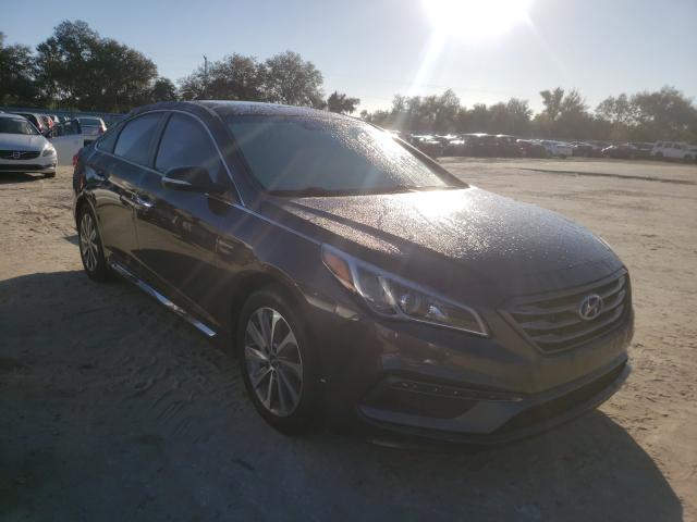 HYUNDAI SONATA SPO 2016 5npe34af9gh388818