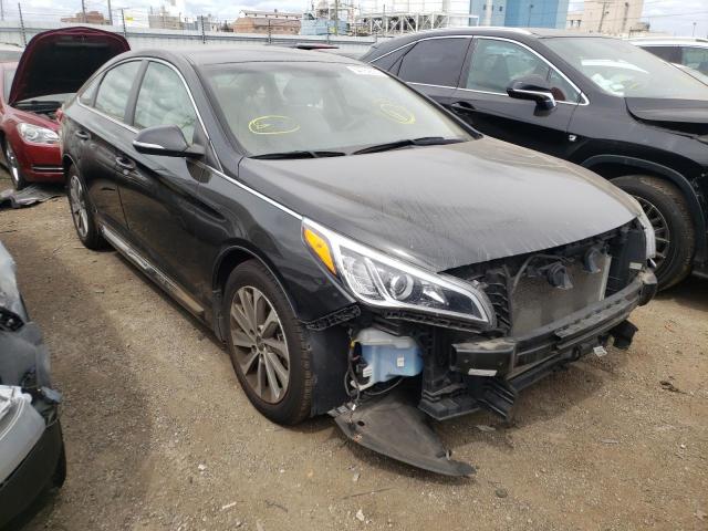 HYUNDAI SONATA SPO 2016 5npe34af9gh391007