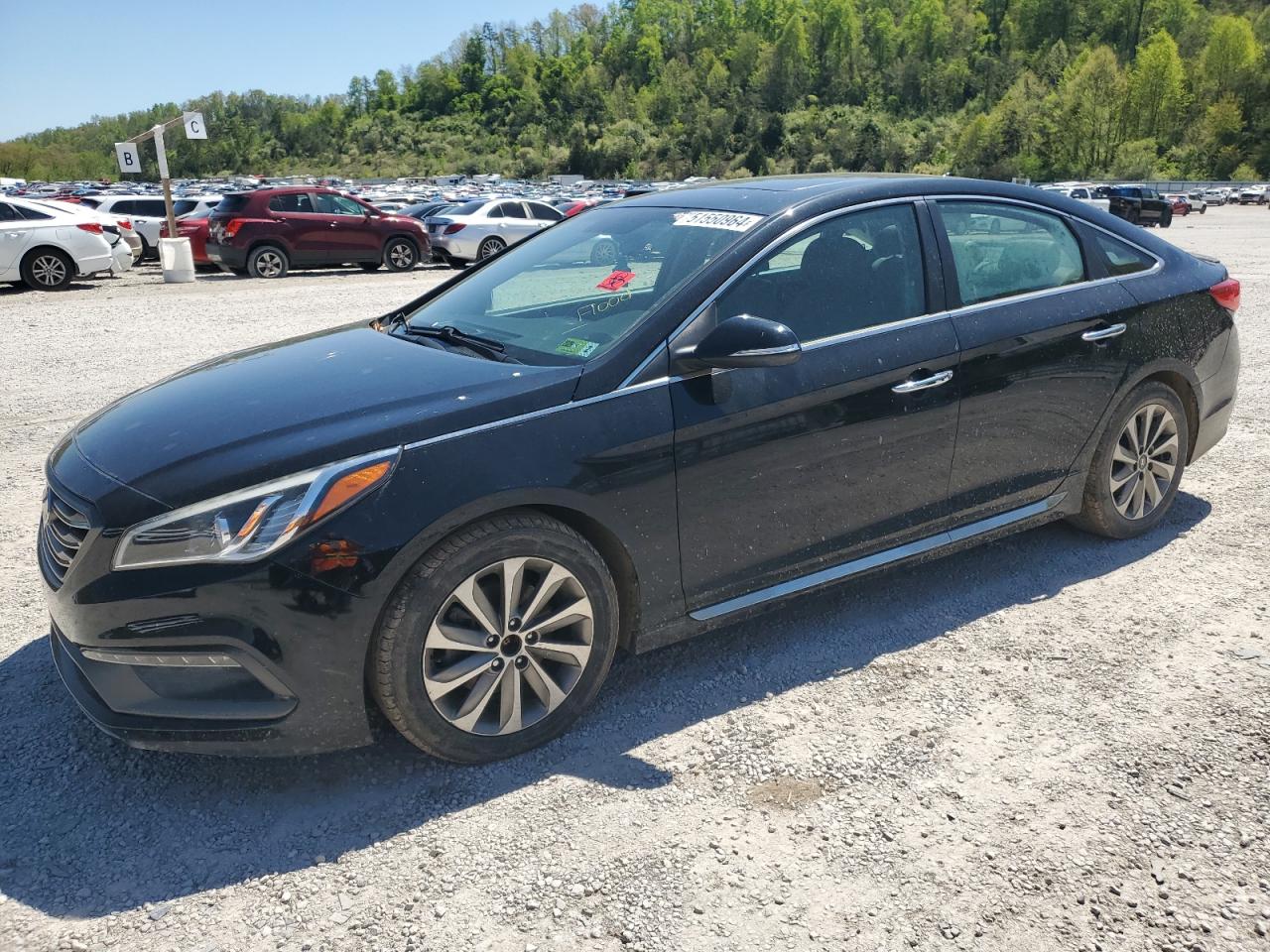 HYUNDAI SONATA 2016 5npe34af9gh411465