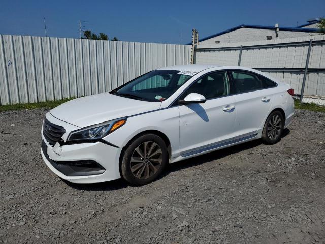 HYUNDAI SONATA 2017 5npe34af9hh481579