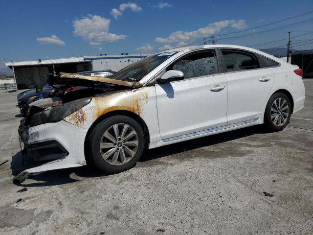 HYUNDAI SONATA 2017 5npe34af9hh523801