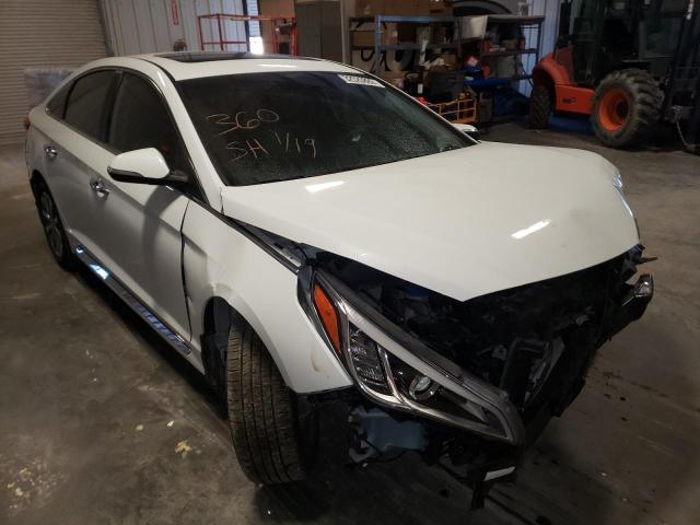 HYUNDAI SONATA SPO 2017 5npe34af9hh552490