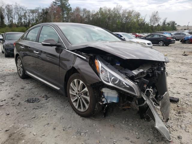 HYUNDAI SONATA SPO 2017 5npe34af9hh553851