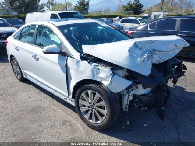 HYUNDAI SONATA 2017 5npe34af9hh560878