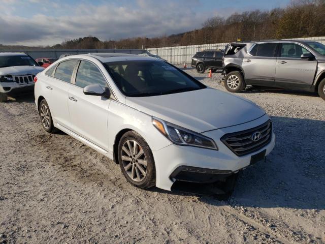 HYUNDAI SONATA SPO 2017 5npe34af9hh582248