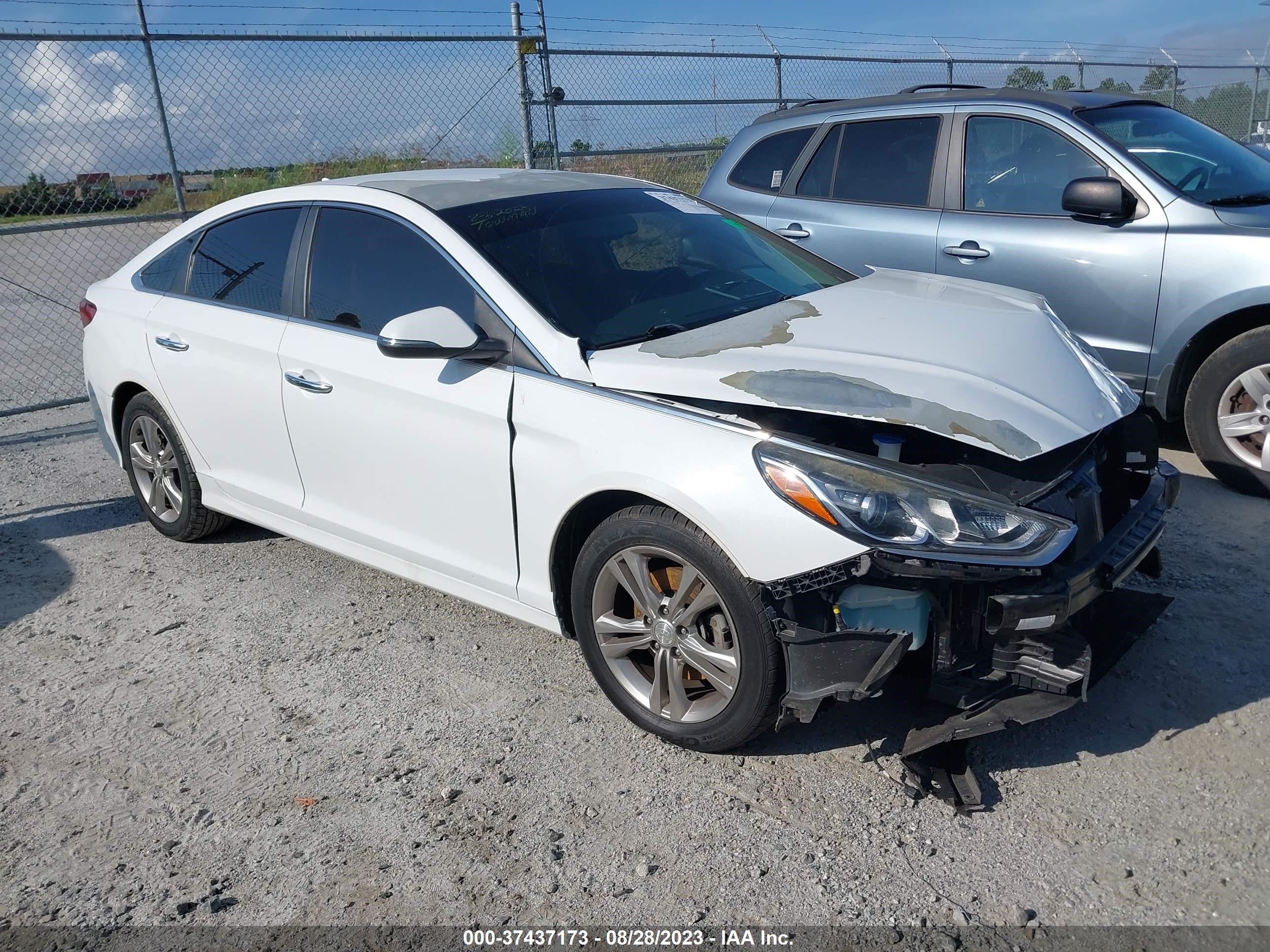 HYUNDAI SONATA 2018 5npe34af9jh620566