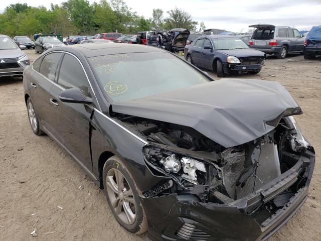 HYUNDAI SONATA SPO 2018 5npe34af9jh622219