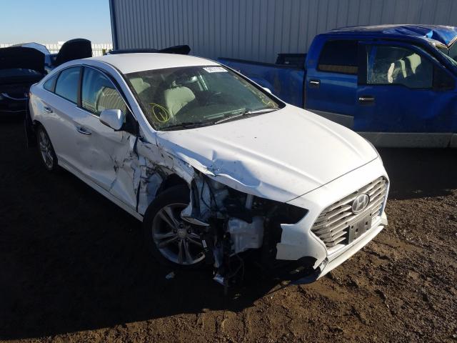 HYUNDAI SONATA SPO 2018 5npe34af9jh631342