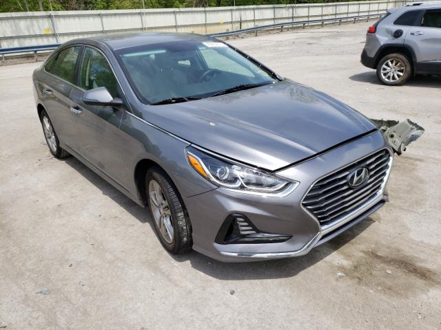 HYUNDAI SONATA SPO 2018 5npe34af9jh650022