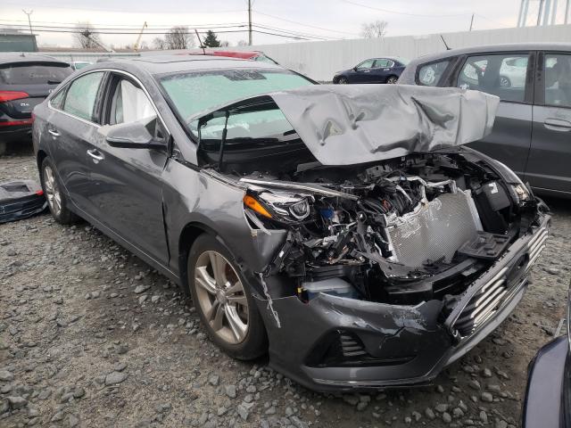 HYUNDAI SONATA SPO 2018 5npe34af9jh661876