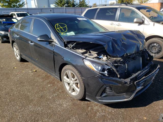 HYUNDAI SONATA SPO 2018 5npe34af9jh672232