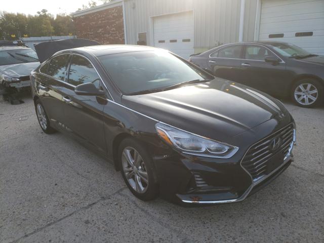 HYUNDAI SONATA SPO 2018 5npe34af9jh692304