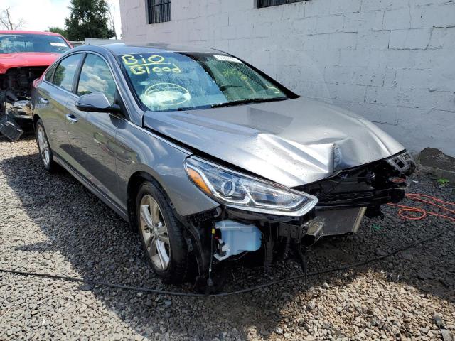 HYUNDAI SONATA SPO 2018 5npe34af9jh716570