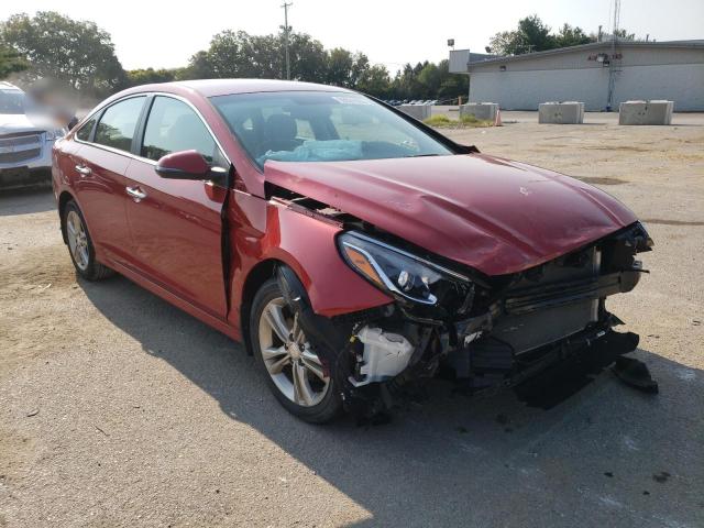 HYUNDAI SONATA SPO 2018 5npe34af9jh723129