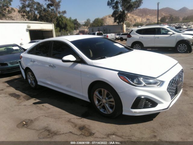 HYUNDAI SONATA 2019 5npe34af9kh746850